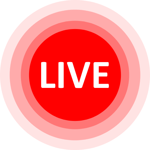 1v1 Adult Cam